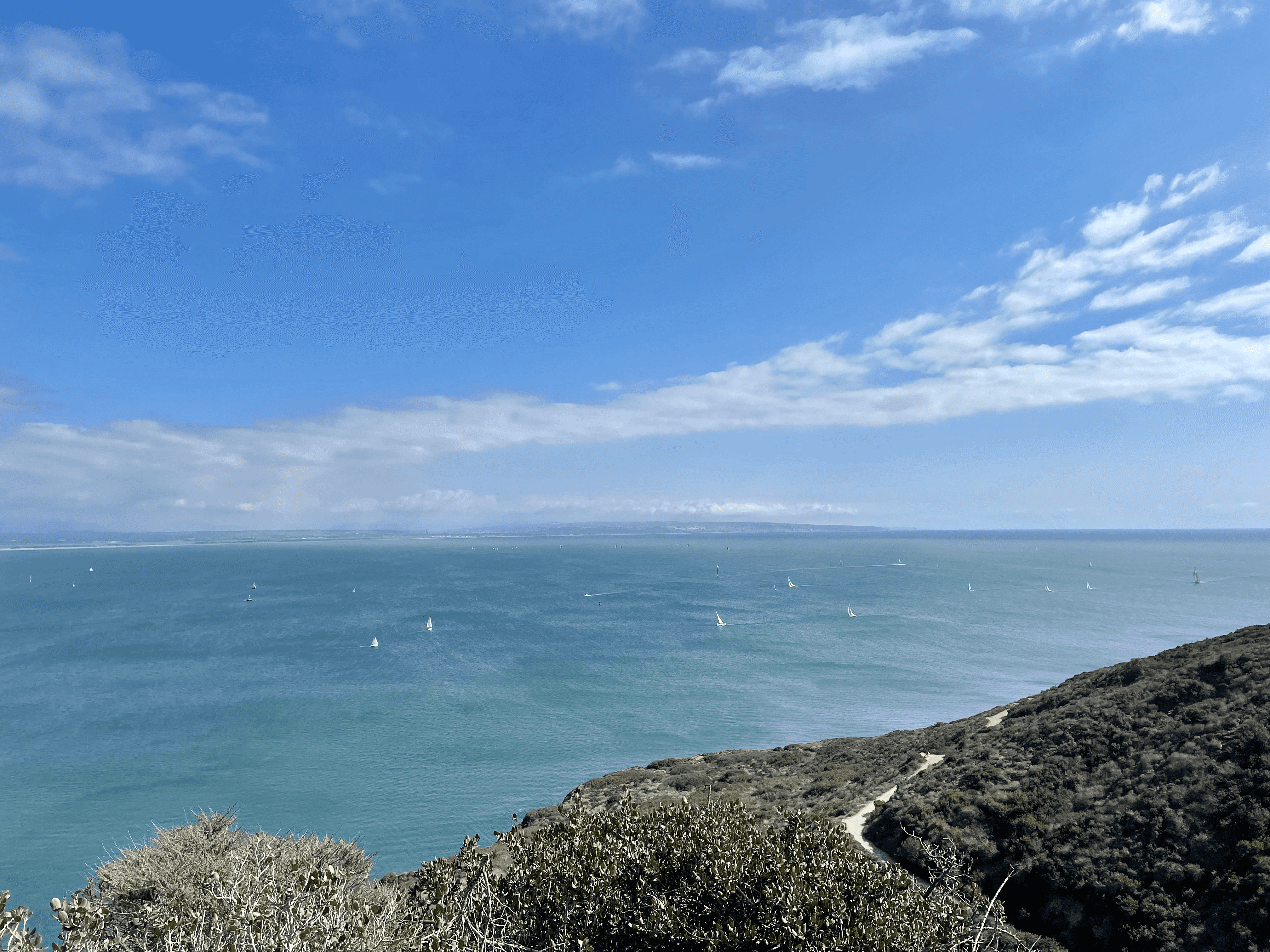 A view of sailboats on the Pacific Ocean from Cabrillo National Park