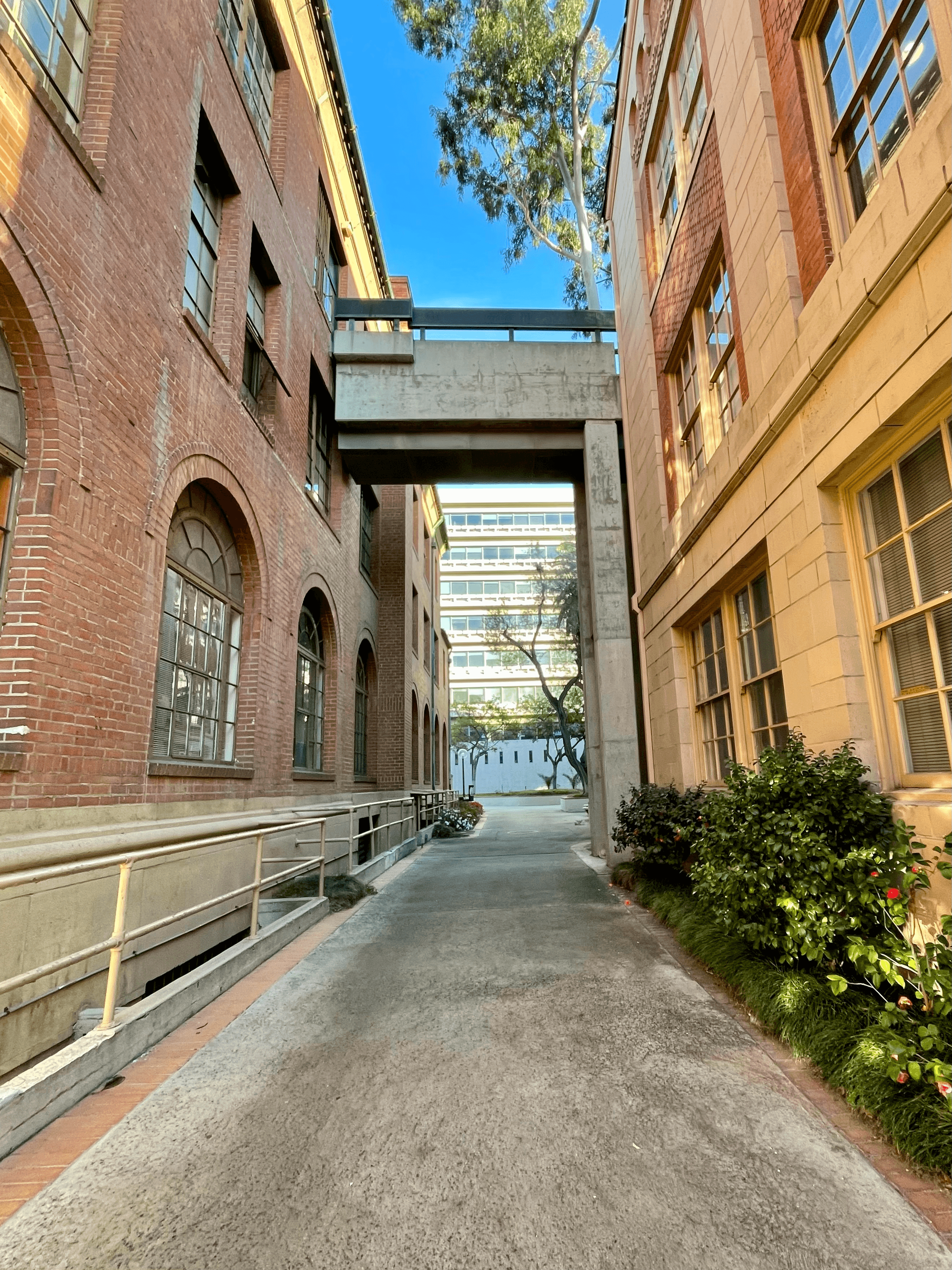 A walkway next to the USC Levanthal School of Accounting