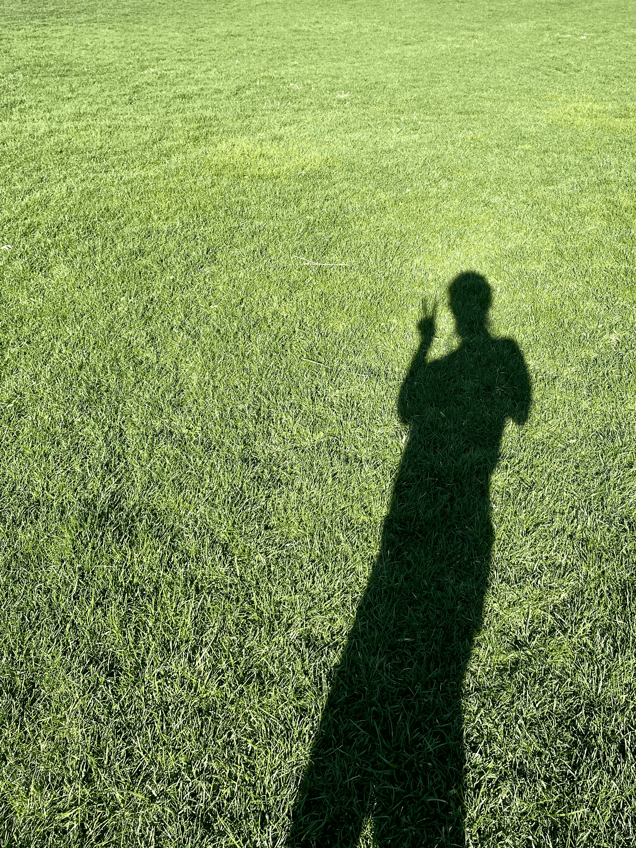 Shadow of a girl on grass